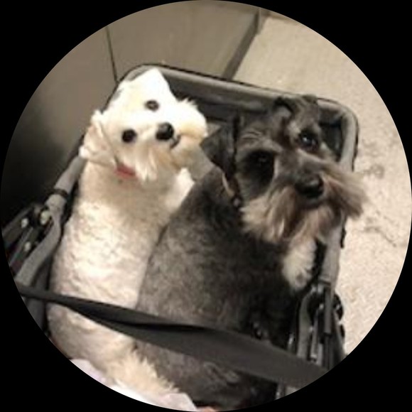 boobookitty143